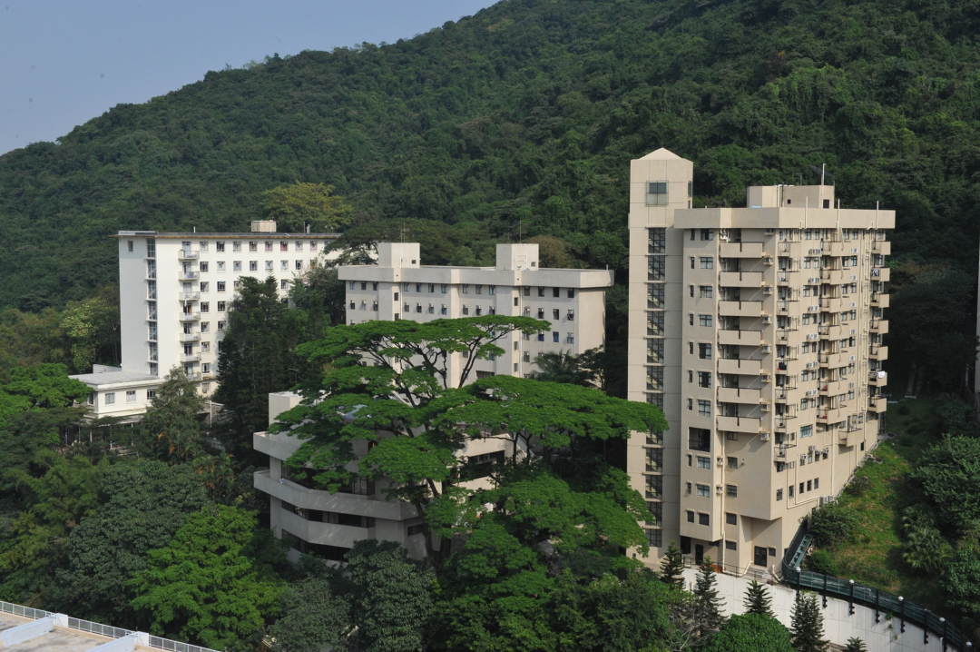 香港大学本科生.png